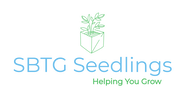 SBTG Seedlings